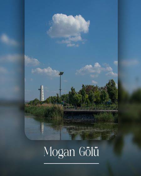 Mogan Gölü