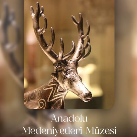 Anadolu Medeniyetleri Müzesi